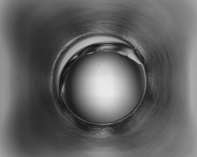 X0000096200488200801181344