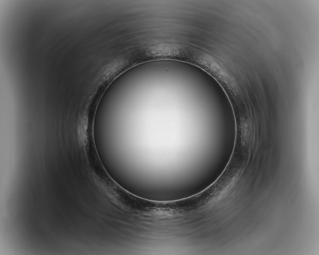 X0000096200490200801181344
