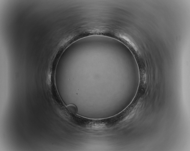 X0000096200491200801181344