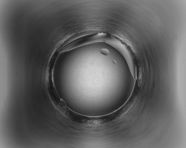 X0000096200492200801181344
