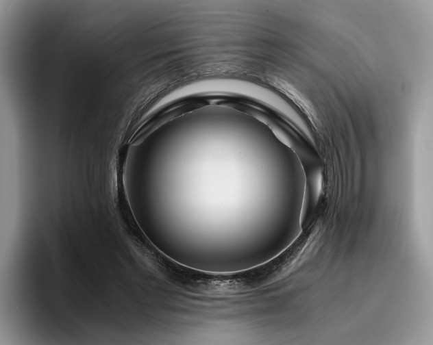 X0000096200493200801181344