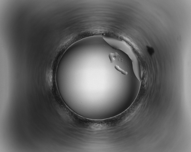 X0000096200494200801181344