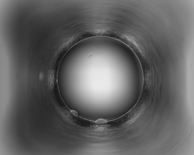 X0000096200495200801181344