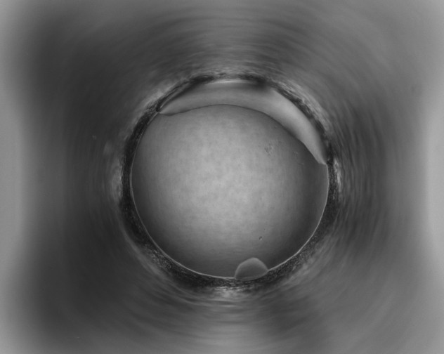X0000096200496200801181344
