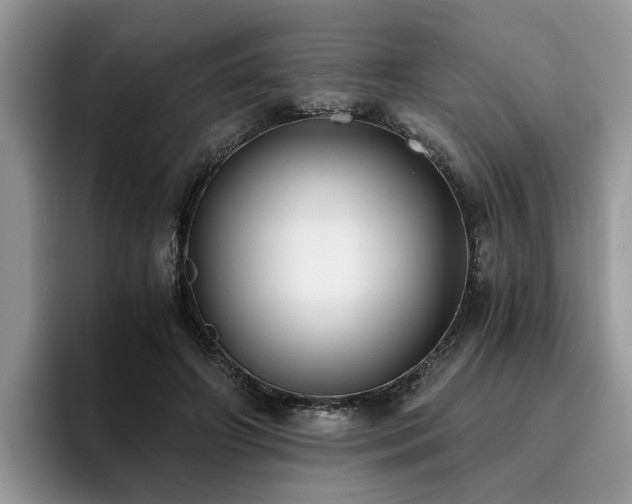 X0000096200498200801181344