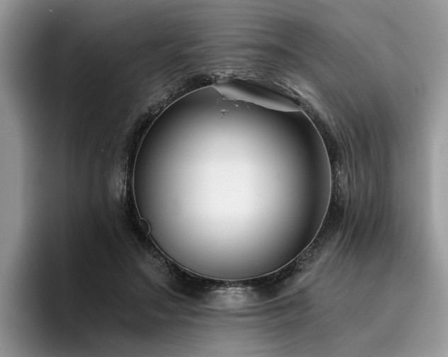 X0000096200499200801181344