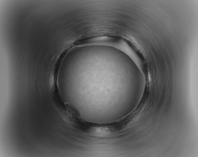 X0000096200500200801181344