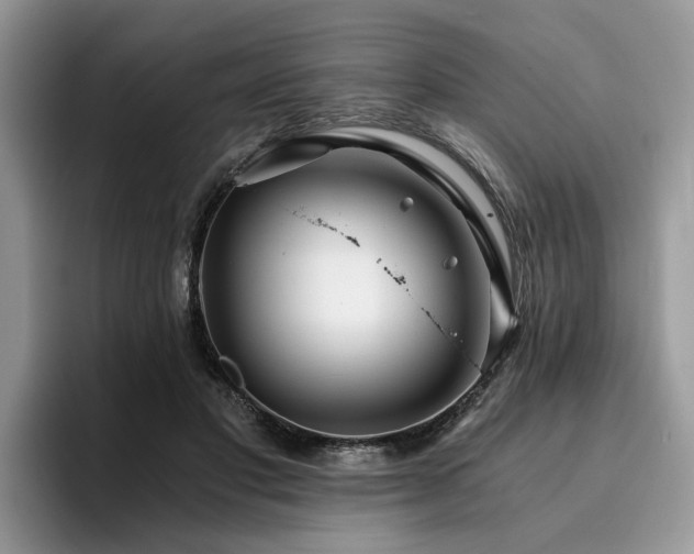 X0000096200501200801181344
