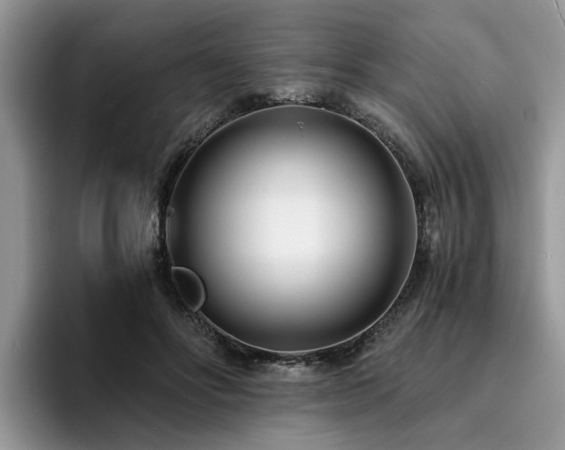X0000096200502200801181344