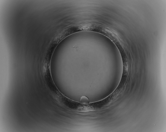X0000096200503200801181344