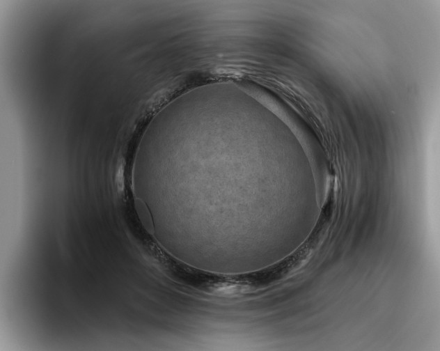 X0000096200504200801181344