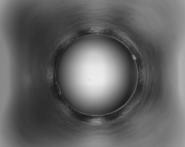 X0000096200505200801181344