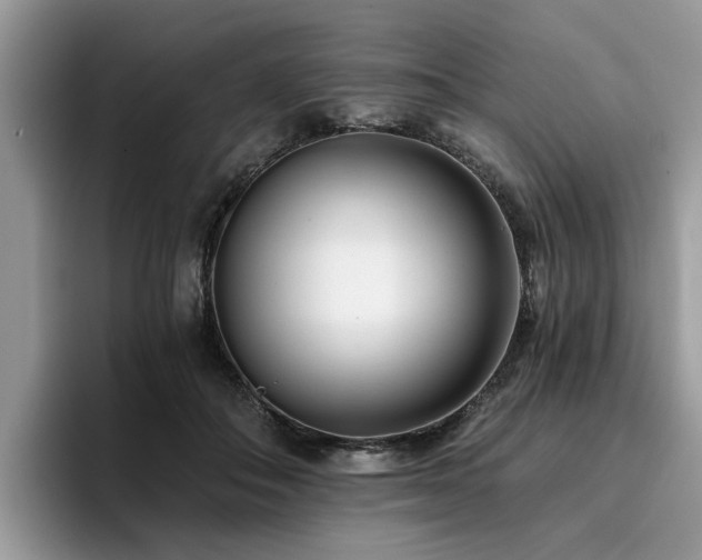 X0000096200506200801181344