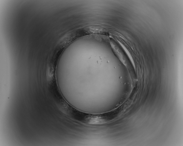 X0000096200507200801181344