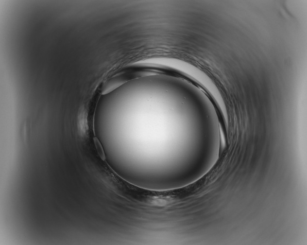 X0000096200508200801181344