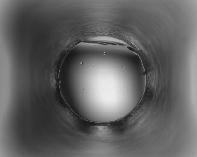 X0000096200509200801181344