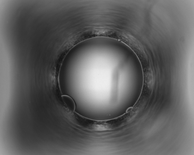 X0000096200510200801181344