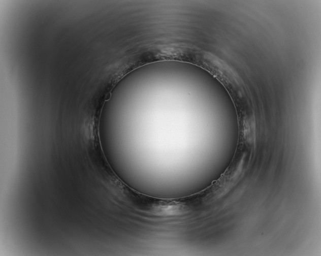 X0000096200514200801181343