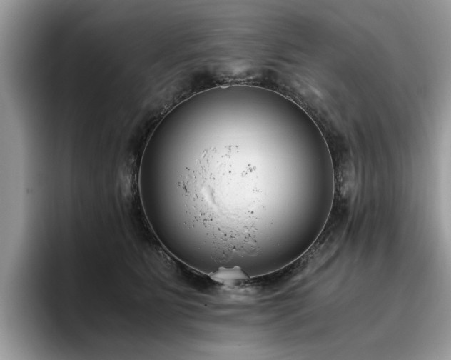 X0000096200515200801181343
