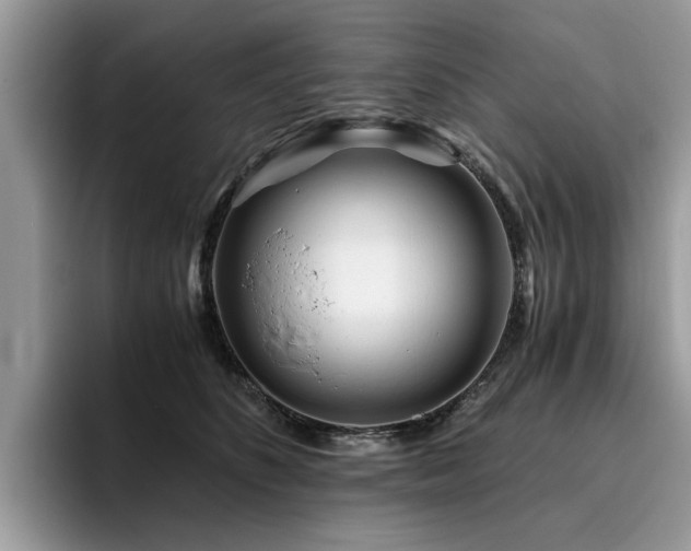X0000096200516200801181343