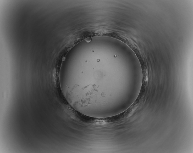 X0000096200519200801181343