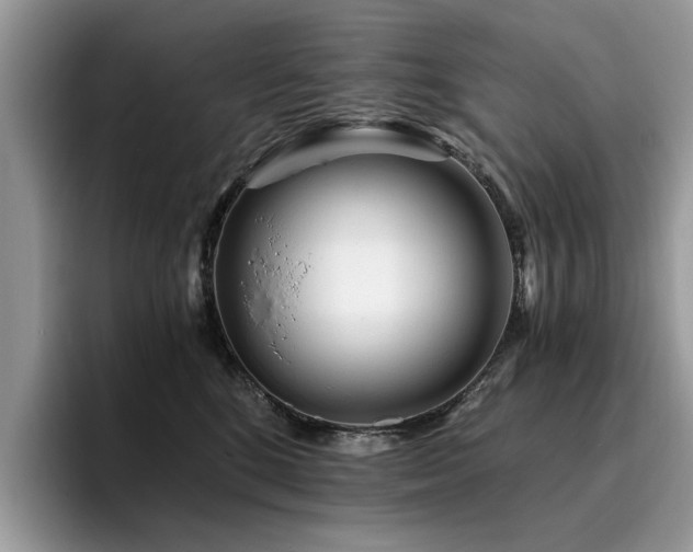 X0000096200520200801181343