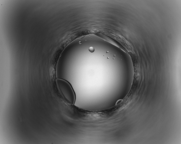 X0000096200523200801181343