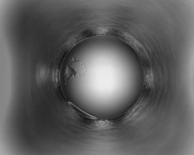X0000096200525200801181343