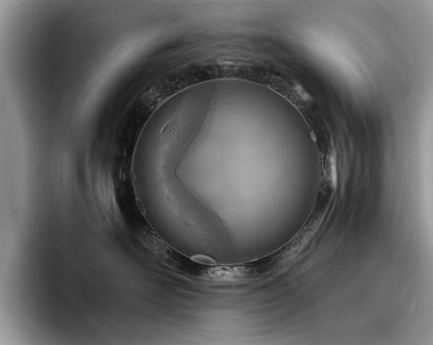 X0000096200526200801181343