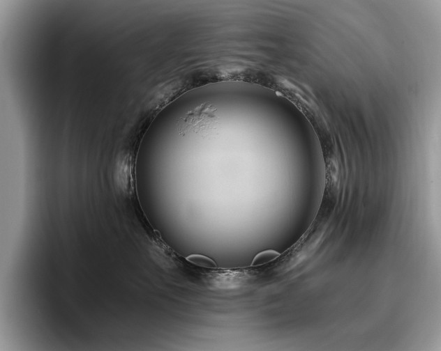 X0000096200527200801181343