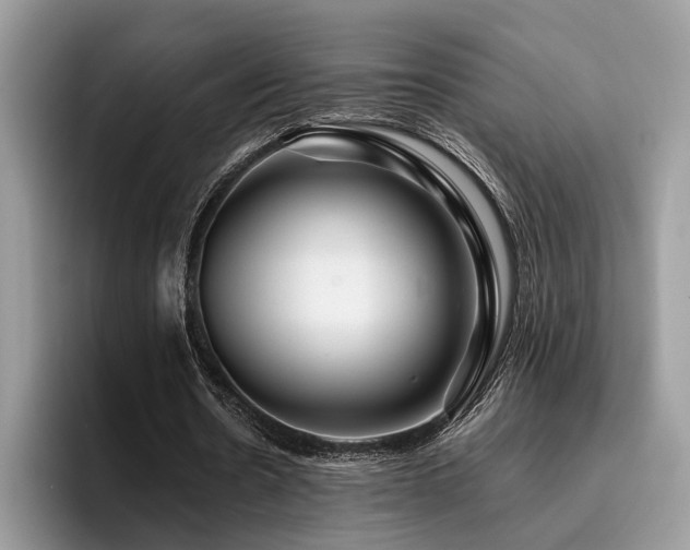 X0000096200530200801181343