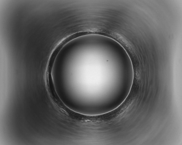 X0000096200532200801181343