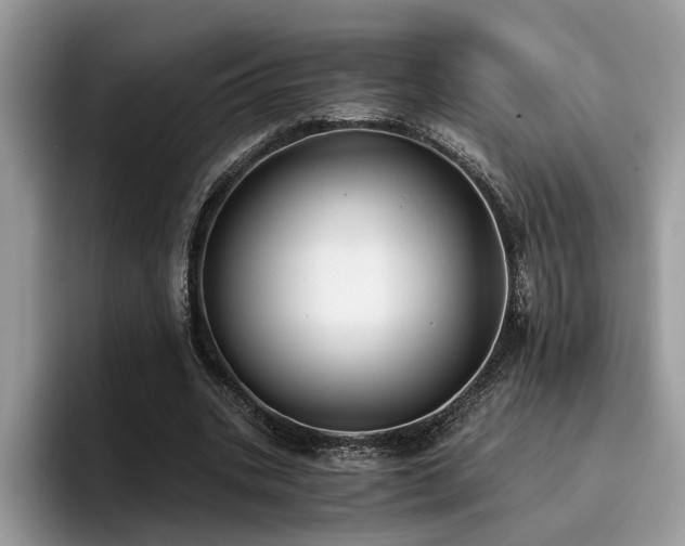 X0000096200535200801181343