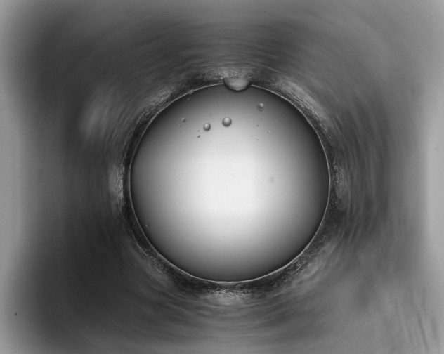 X0000096200537200801181343