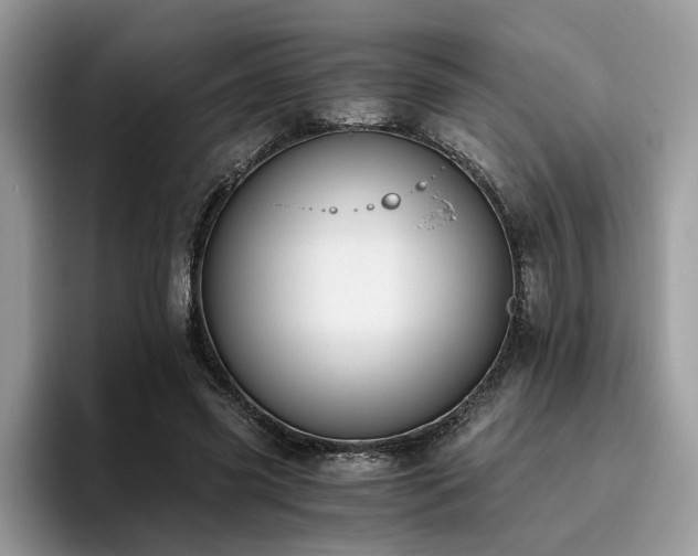 X0000096200541200801181343