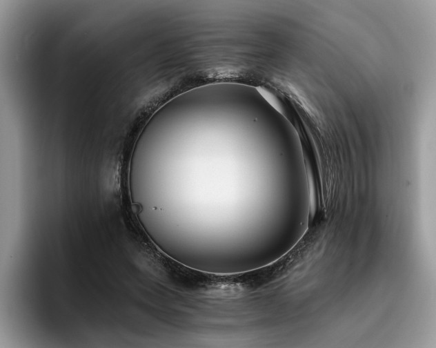X0000096200543200801181343
