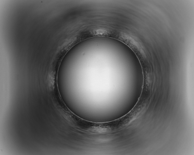 X0000096200545200801181343