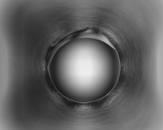 X0000096200546200801181343