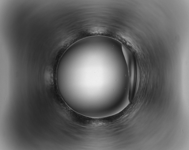 X0000096200547200801181343
