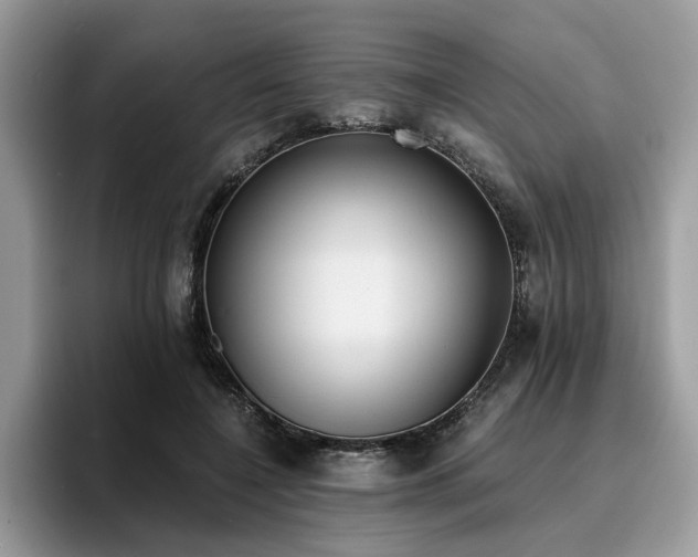 X0000096200548200801181343