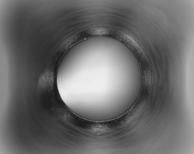 X0000096200549200801181343