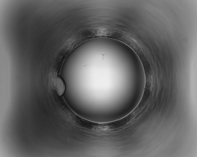 X0000096200554200801181343