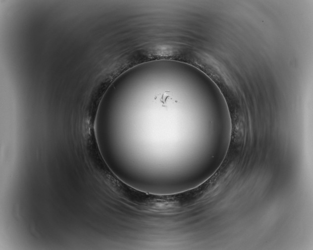 X0000096200555200801181343