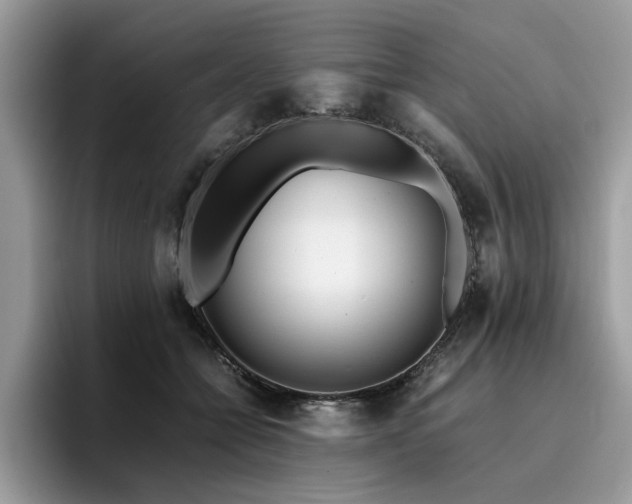 X0000096200558200801181343