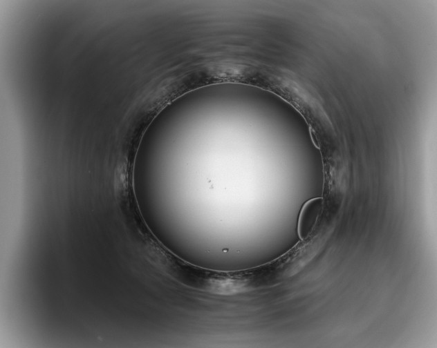 X0000096200561200801181343