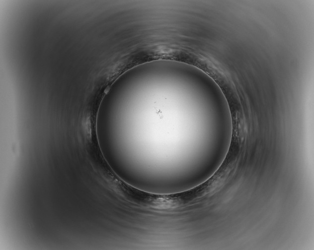 X0000096200562200801181343
