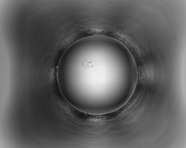 X0000096200563200801181343