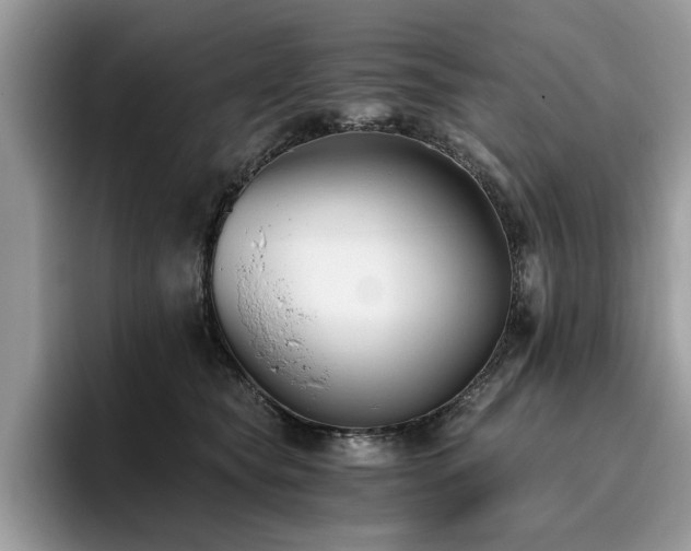 X0000096200565200801181343