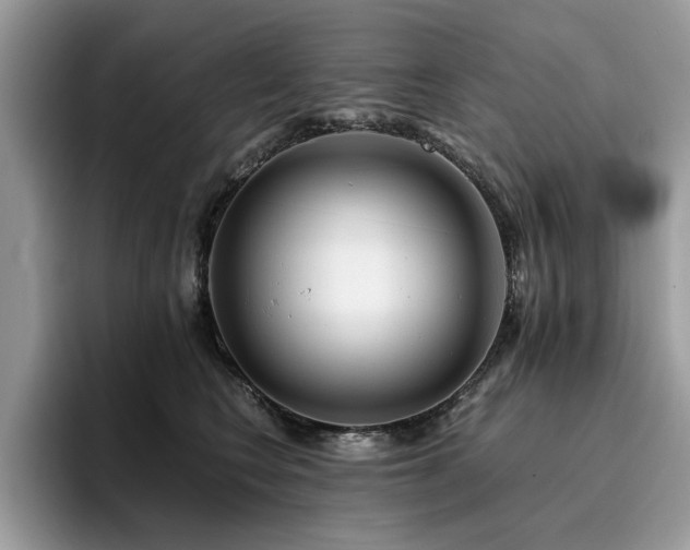 X0000096200566200801181343