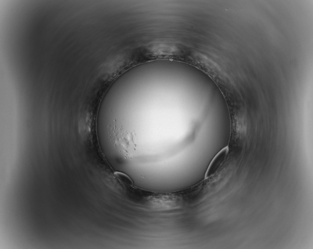 X0000096200567200801181343